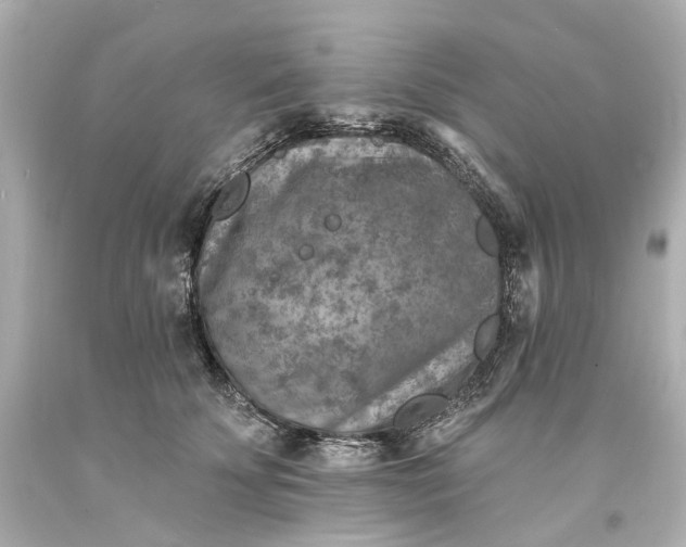 X0000094070707200711021510