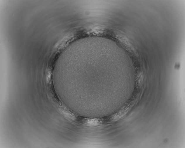 X0000094070709200711021510