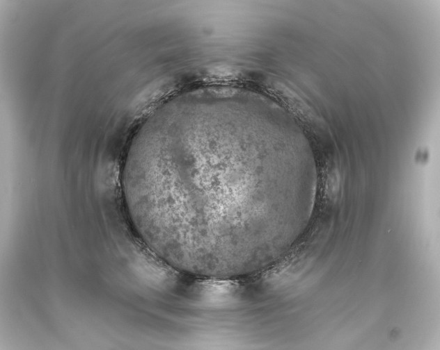 X0000094070711200711021510
