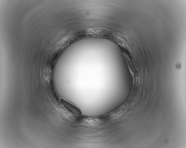 X0000094070712200711021510