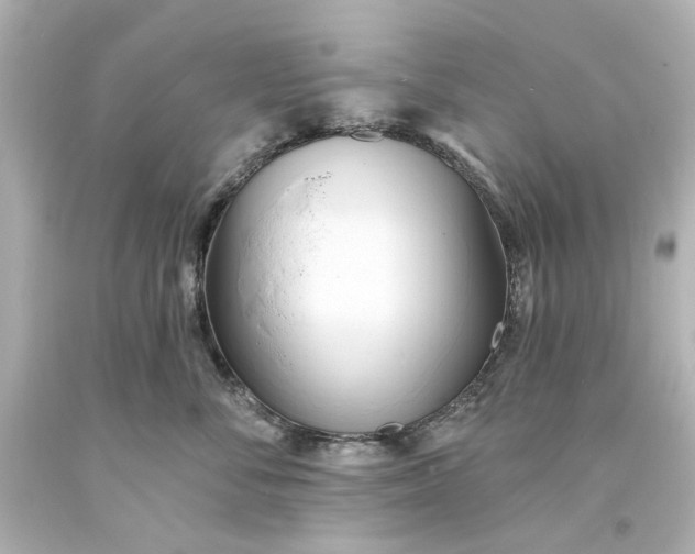 X0000094070716200711021510