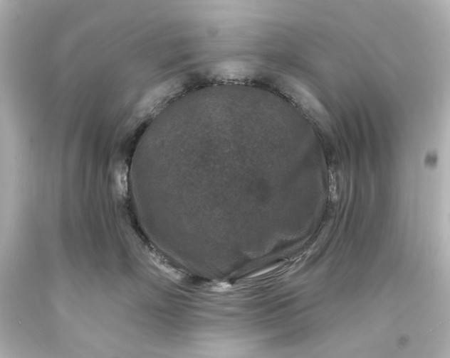 X0000094070718200711021510