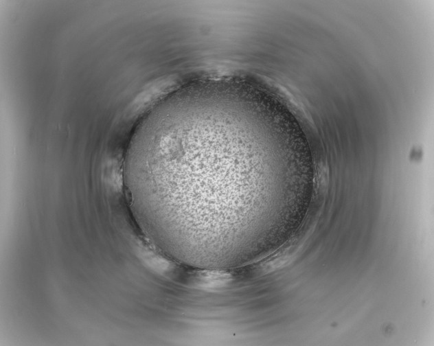 X0000094070719200711021510