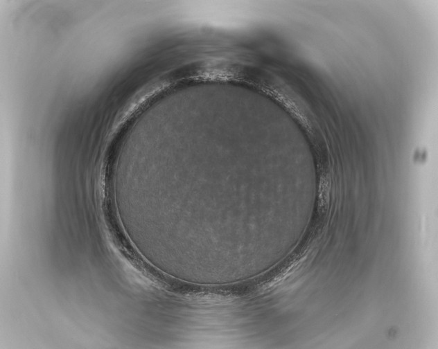 X0000094070722200711021509
