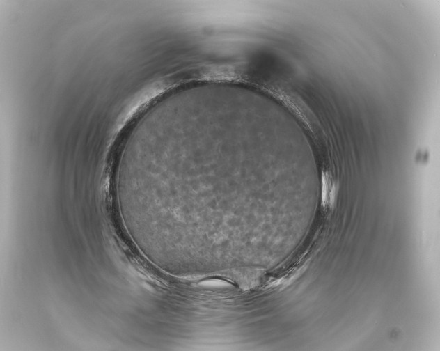 X0000094070723200711021509
