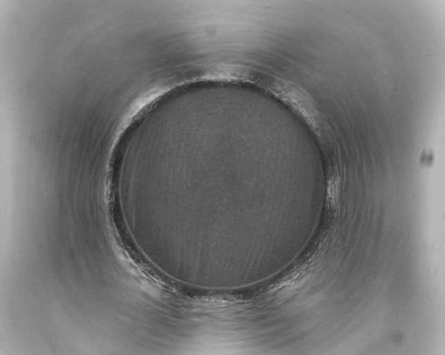 X0000094070724200711021509