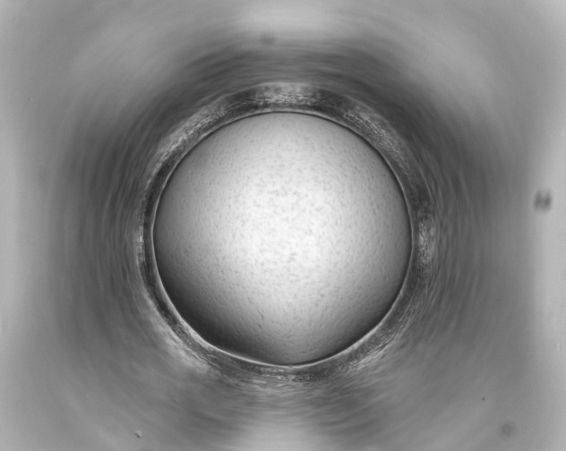 X0000094070725200711021509