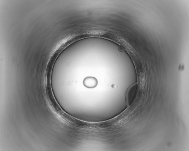 X0000094070726200711021509