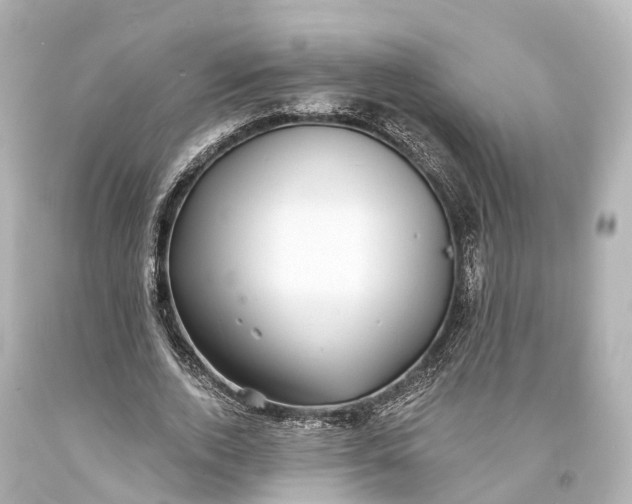 X0000094070728200711021509