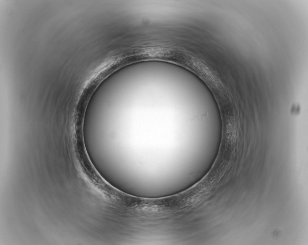 X0000094070730200711021509