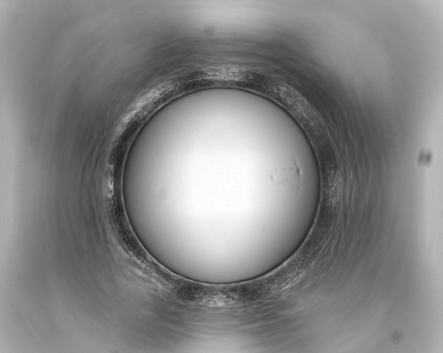 X0000094070731200711021509