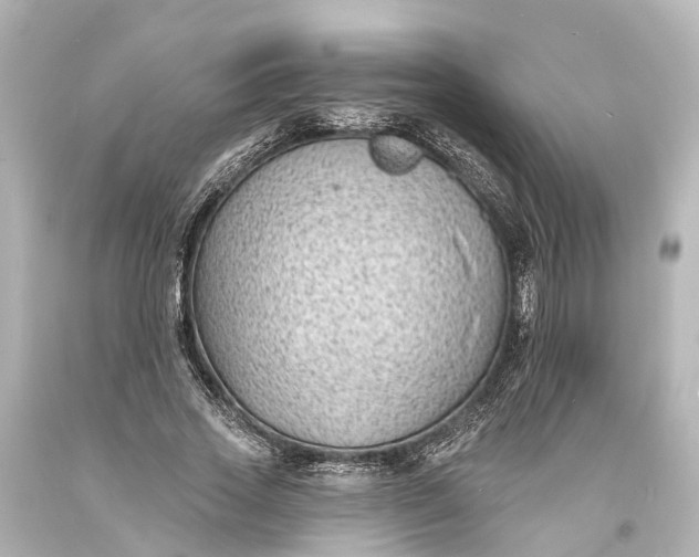 X0000094070733200711021509