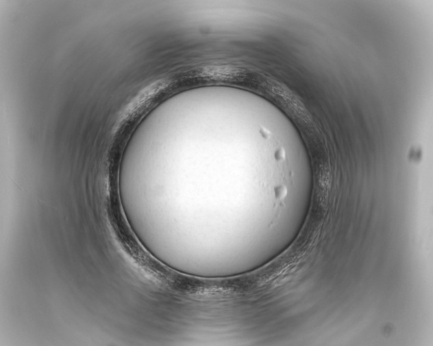 X0000094070734200711021509