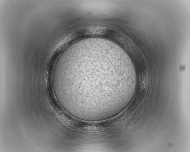 X0000094070735200711021509