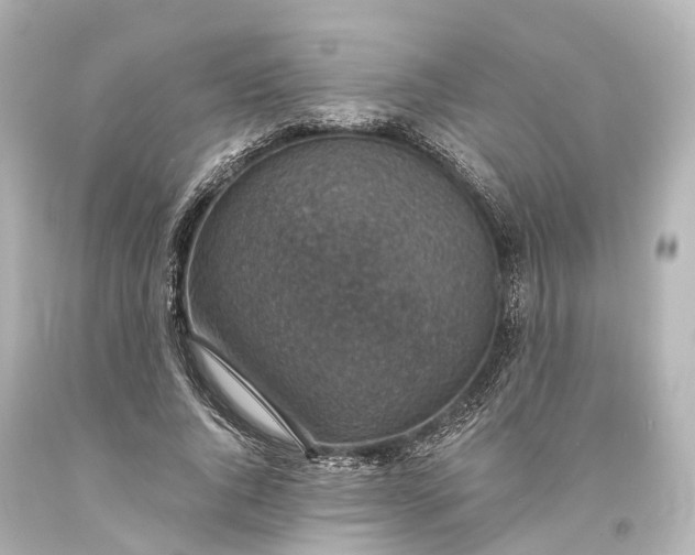 X0000094070736200711021509