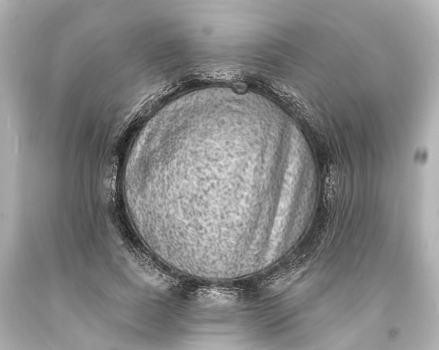 X0000094070739200711021509