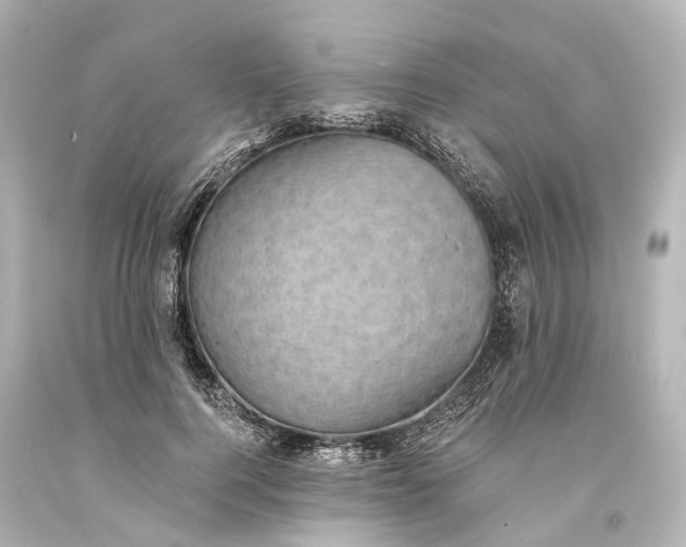 X0000094070744200711021509