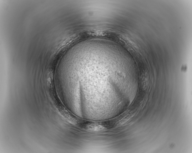 X0000094070747200711021509