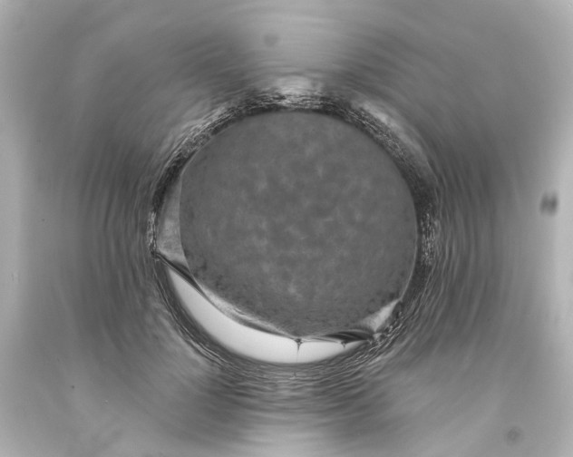 X0000094070748200711021509