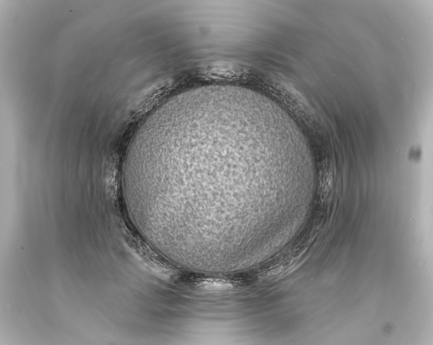 X0000094070749200711021509