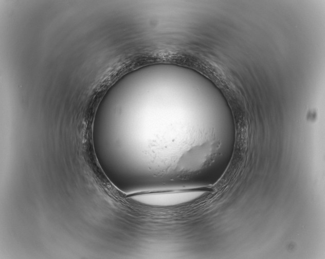 X0000094070750200711021509
