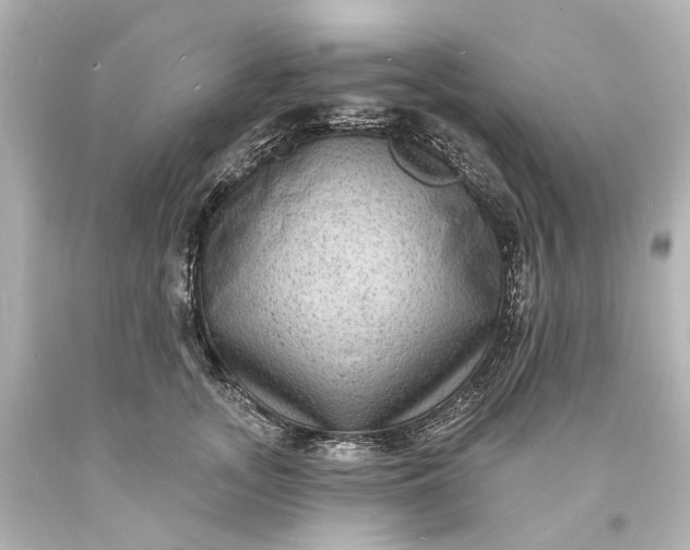 X0000094070755200711021509