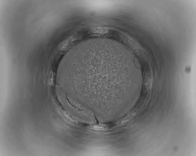 X0000094070758200711021510