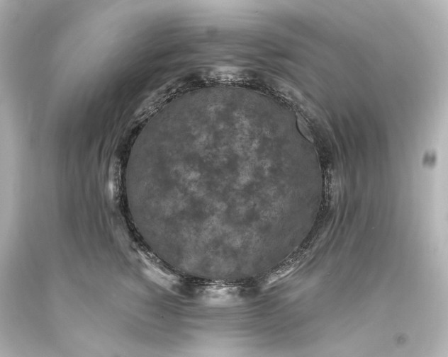X0000094070760200711021510