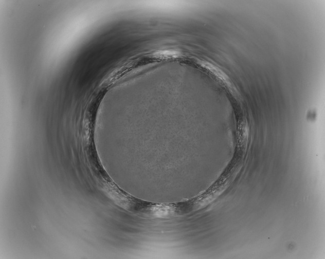 X0000094070762200711021510