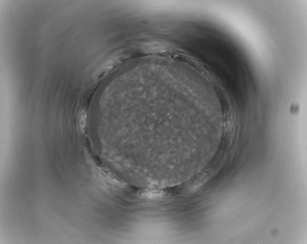 X0000094070767200711021510
