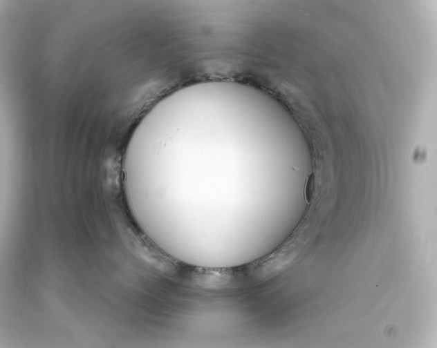 X0000094070768200711021510