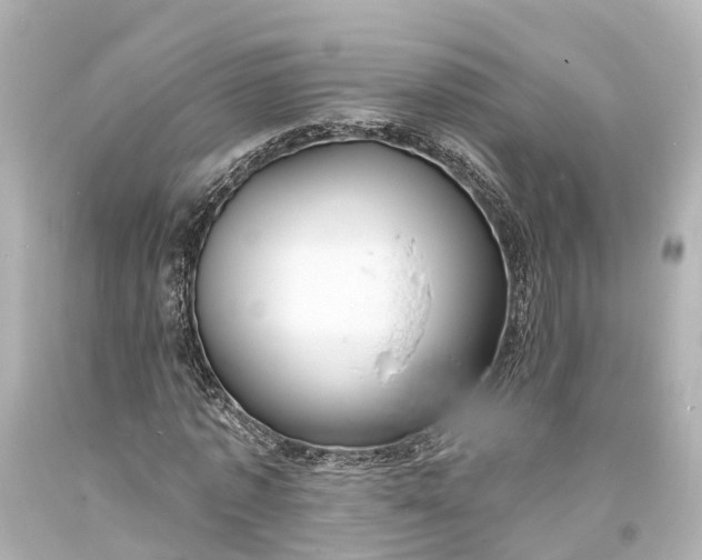 X0000094070773200711021509