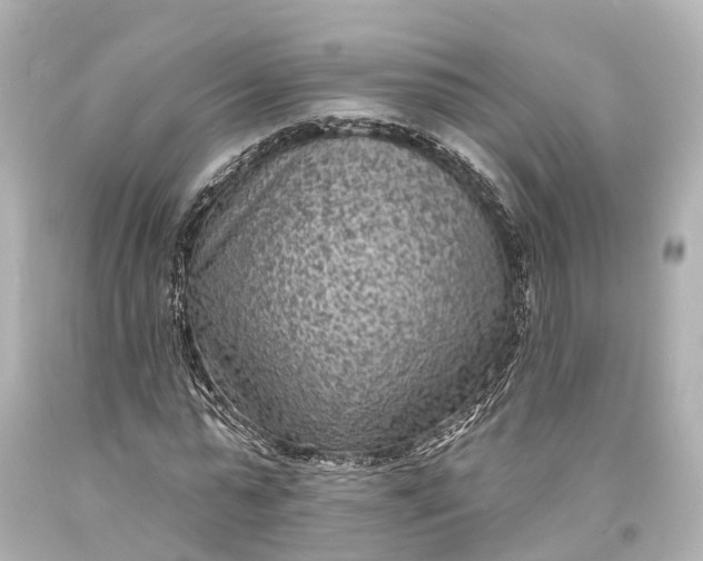 X0000094070775200711021509