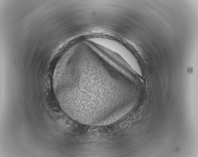 X0000094070776200711021509