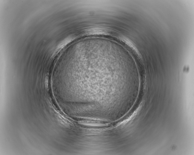 X0000094070777200711021509