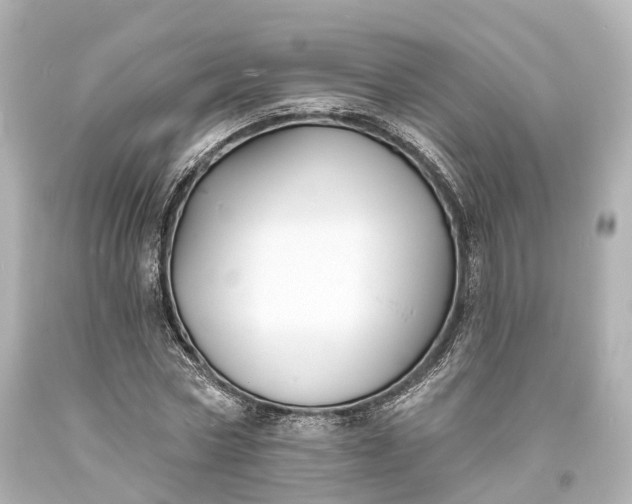 X0000094070778200711021509