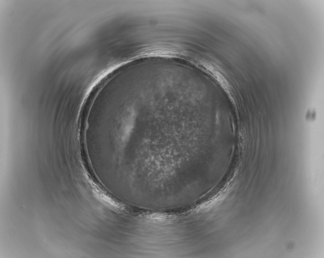 X0000094070779200711021509