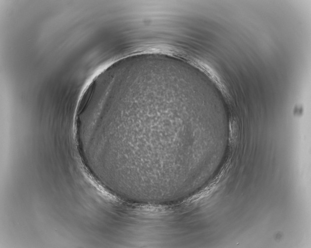 X0000094070780200711021509