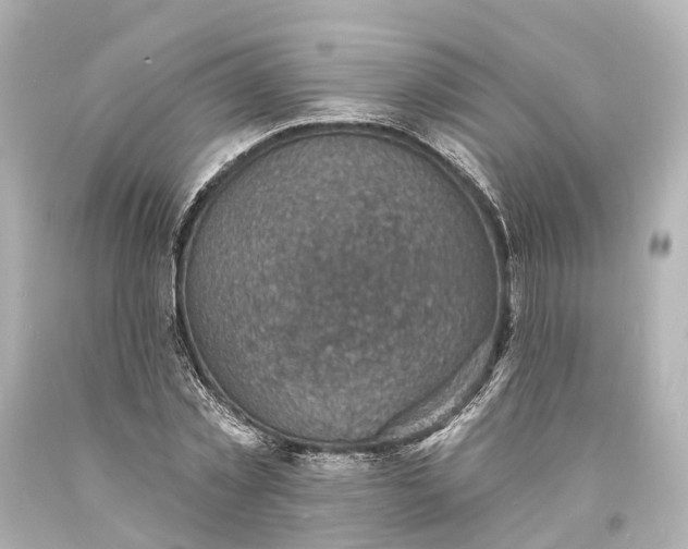 X0000094070781200711021509