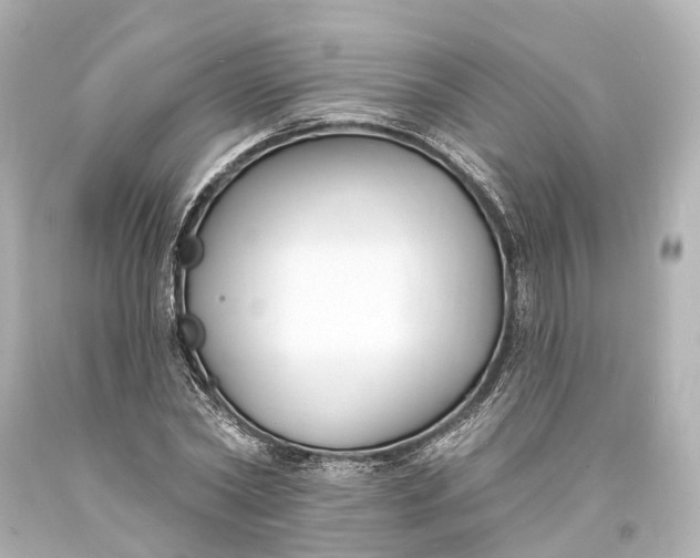 X0000094070782200711021509