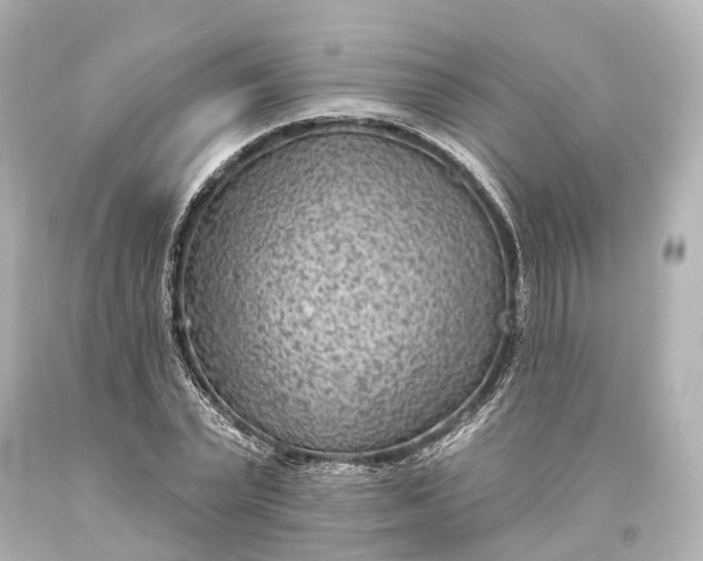 X0000094070783200711021509