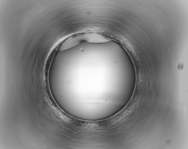 X0000094070784200711021509