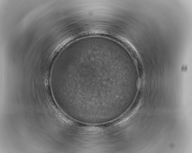 X0000094070785200711021509