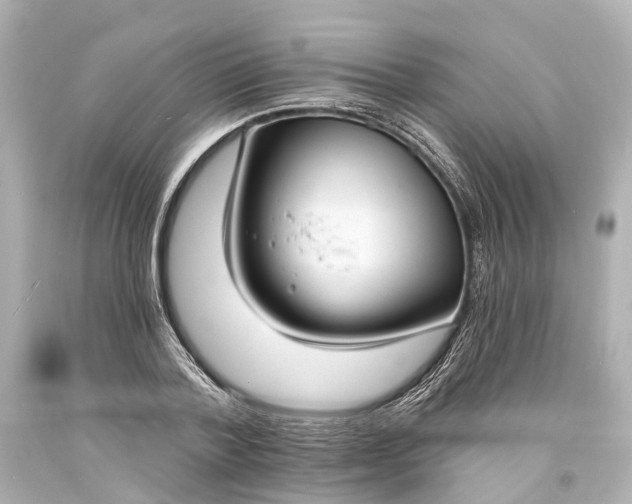 X0000094070788200711021509