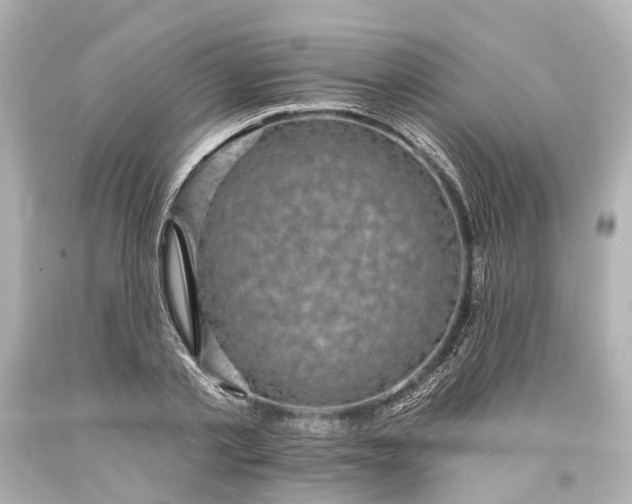 X0000094070789200711021509