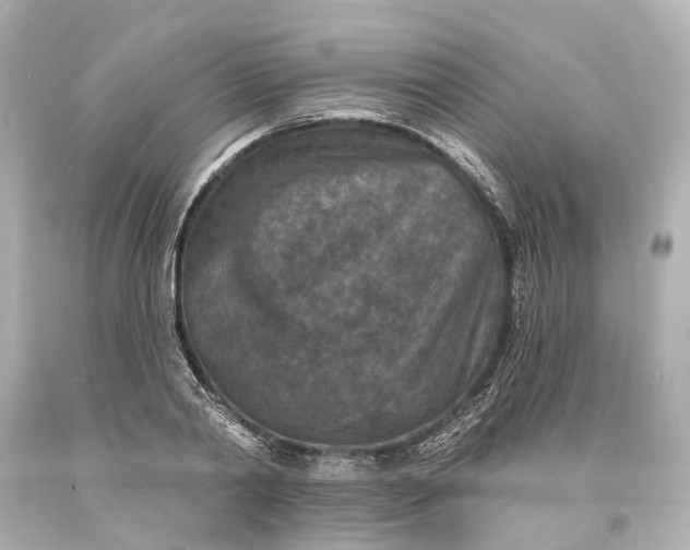 X0000094070790200711021509