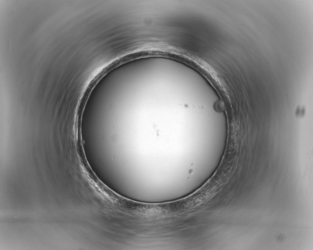 X0000094070791200711021509