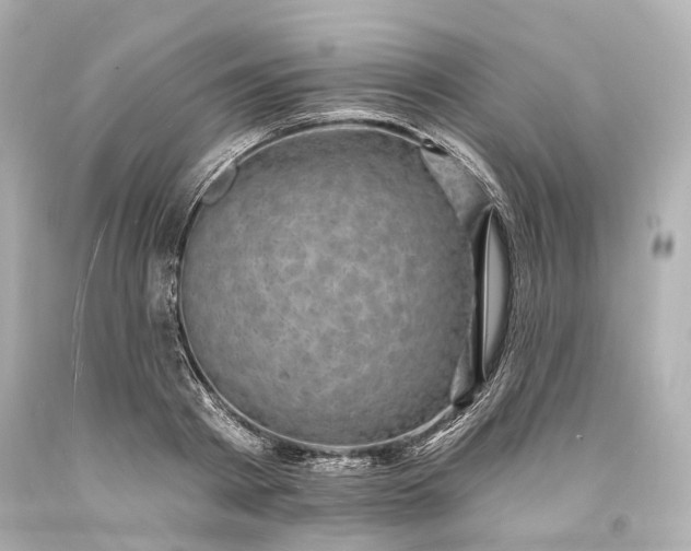 X0000094070793200711021509
