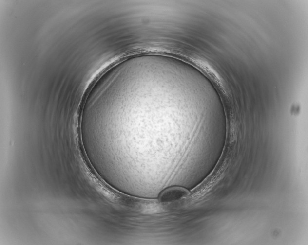 X0000094070798200711021508