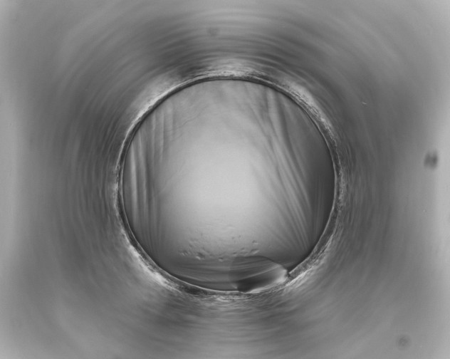 X0000094070802200711021508